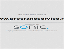 Tablet Screenshot of procraneservice.net